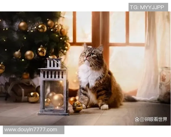 揭秘你不知道的VAR背后冷知识 10个鲜为人知的技术秘密大公开